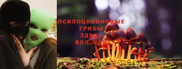 дурь Тайга