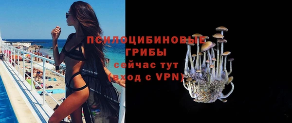 эйфоретик Вязьма