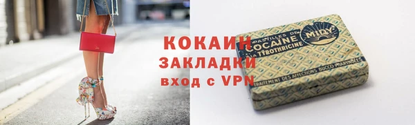 дурь Тайга