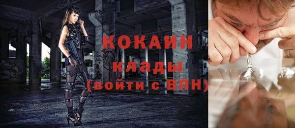 хмурый Тавда