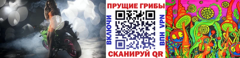 гидра маркетплейс  Мглин  Галлюциногенные грибы Magic Shrooms 